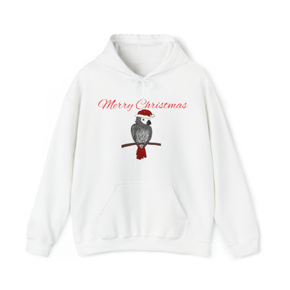 Parrot Christmas hoodie