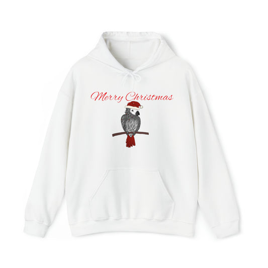 Parrot Christmas hoodie